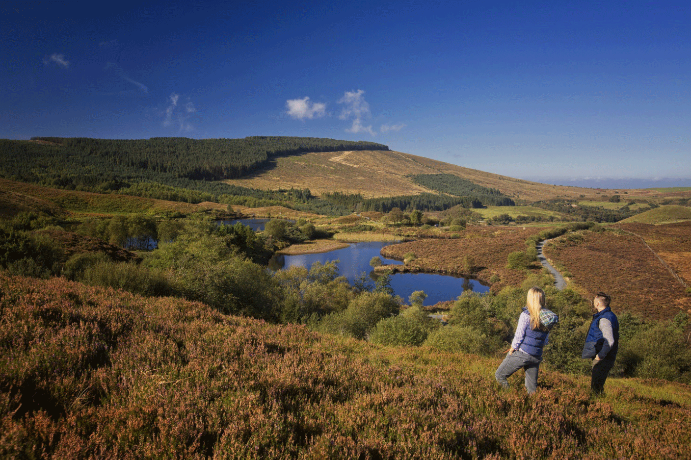 The Sperrins for web